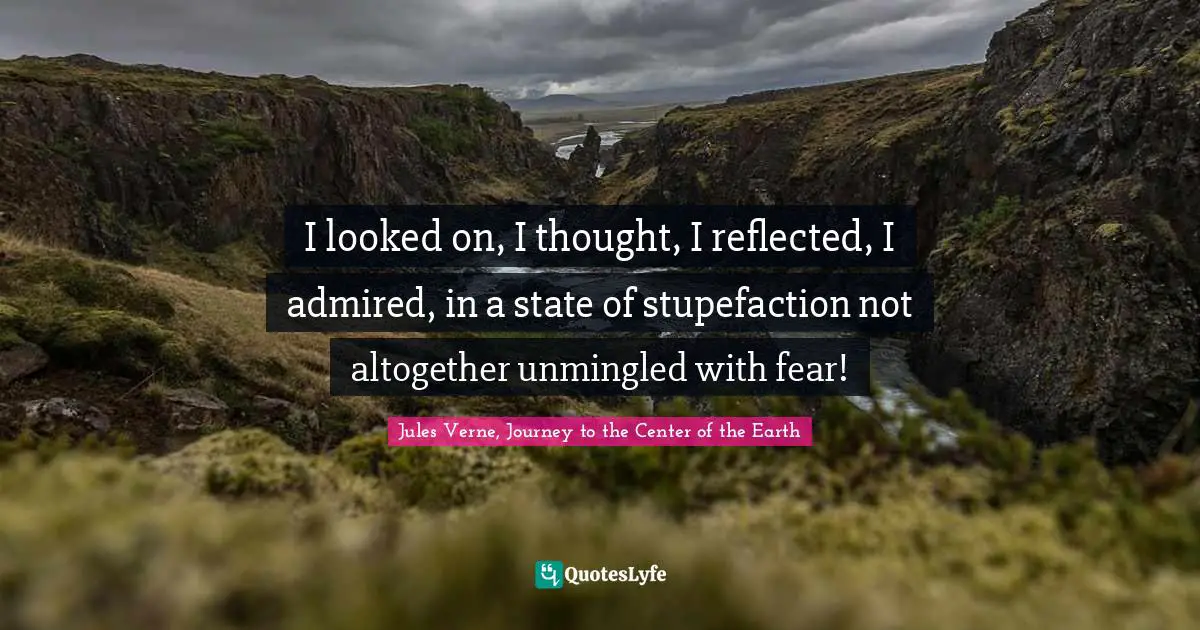 I looked on, I thought, I reflected, I admired, in a state of stupefaction not altogether unmingled with fear!