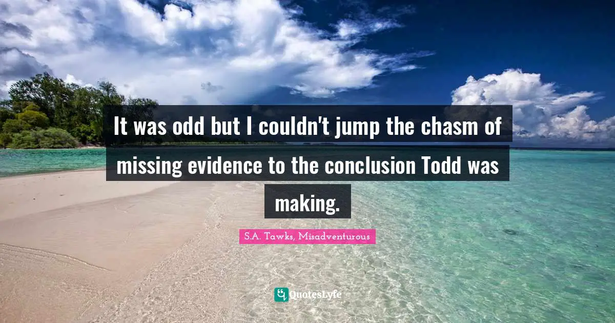 Brisbane Quotes: "It was odd but I couldn't jump the chasm of missing evidence to the conclusion Todd was making."