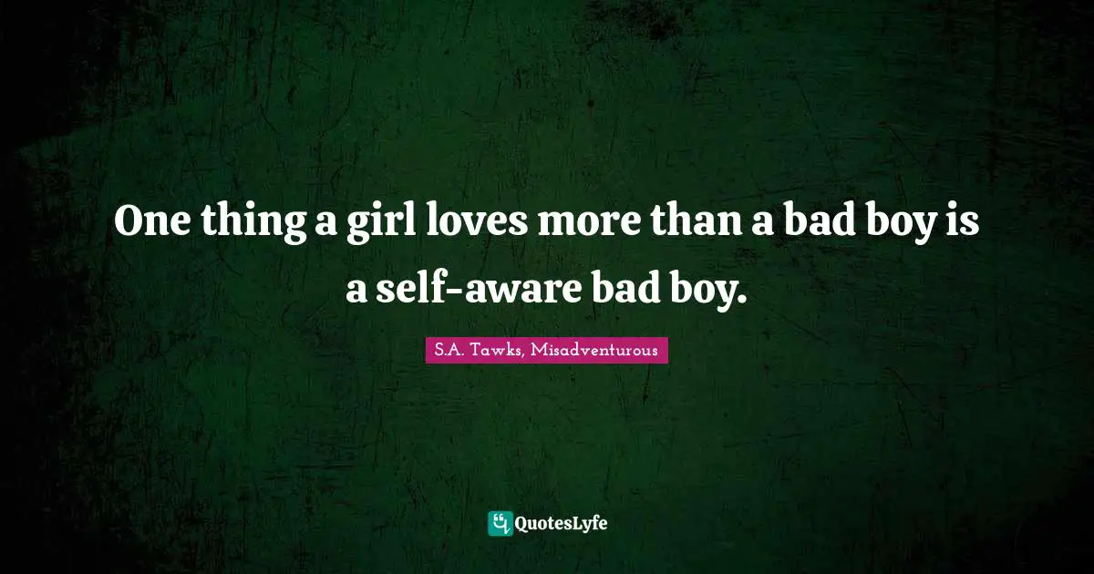 S.A. Tawks, Misadventurous Quotes: "One thing a girl loves more than a bad boy is a self-aware bad boy."