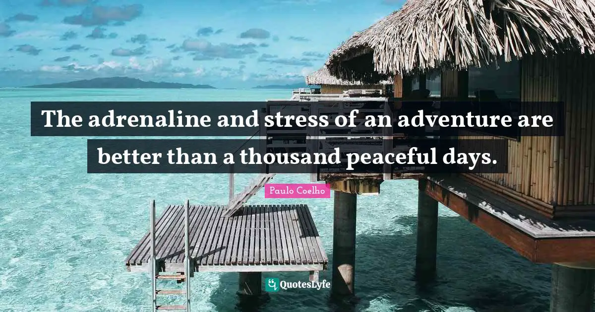 The adrenaline and stress of an adventure are better than a thousand peaceful days.