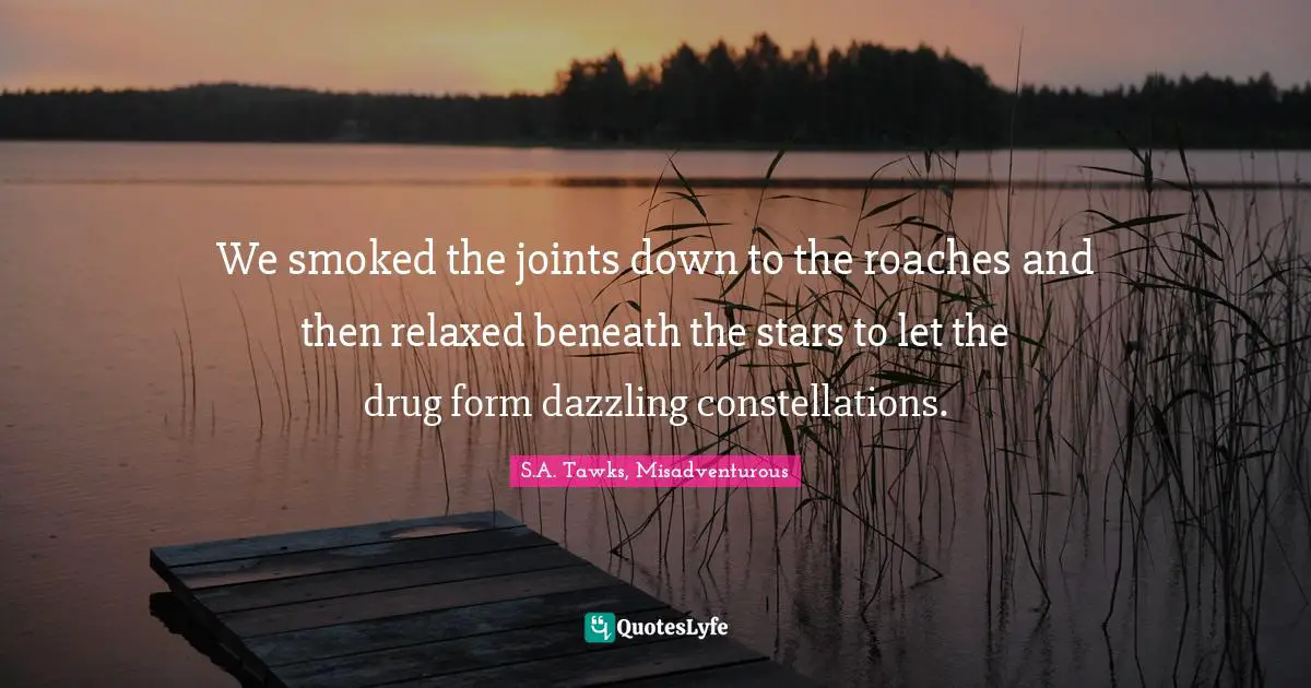 Brisbane Quotes: "We smoked the joints down to the roaches and then relaxed beneath the stars to let the drug form dazzling constellations."