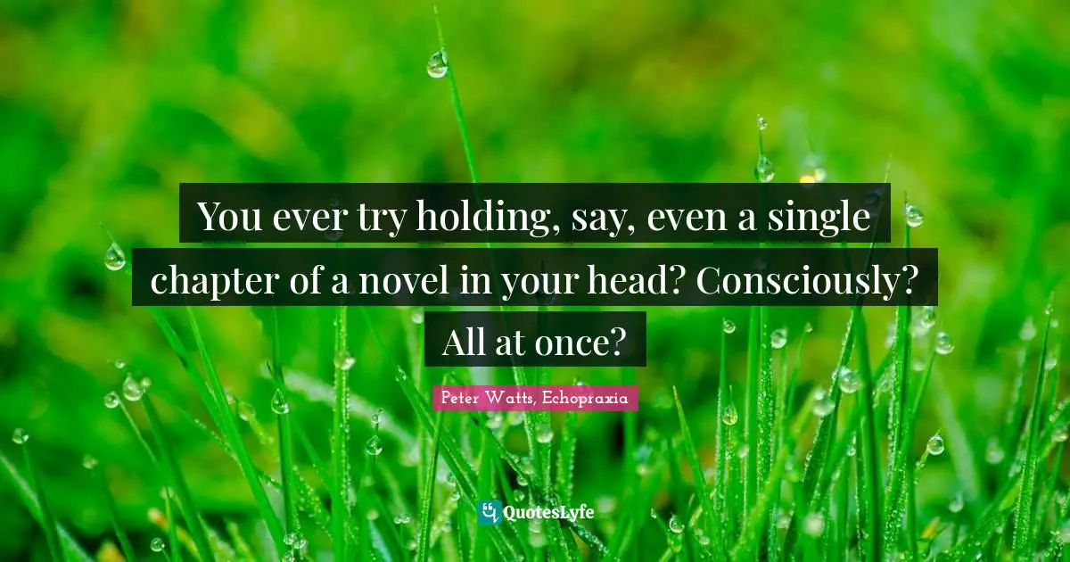 You ever try holding, say, even a single chapter of a novel in your head? Consciously? All at once?