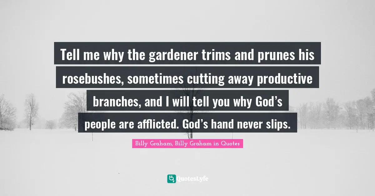 Tell me why the gardener trims and prunes his rosebushes, sometimes cutting away productive branches, and I will tell you why God’s people are afflicted. God’s hand never slips.