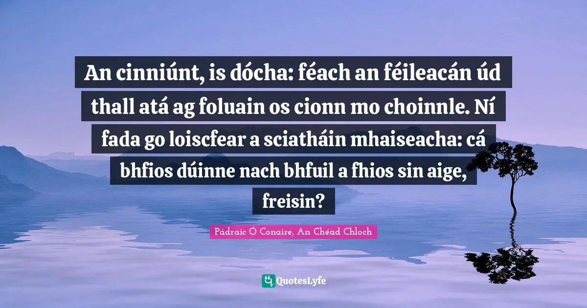 An cinniúnt, is dócha: féach an féileacán úd thall atá ag foluain os cionn mo choinnle. Ní fada go loiscfear a sciatháin mhaiseacha: cá bhfios dúinne nach bhfuil a fhios sin aige, freisin?
