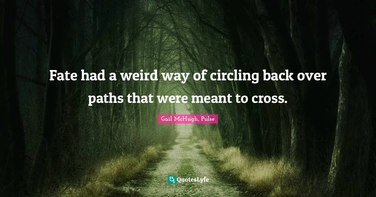 Fate had a weird way of circling back over paths that were meant to cross.