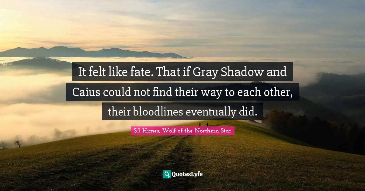 It felt like fate. That if Gray Shadow and Caius could not find their way to each other, their bloodlines eventually did.