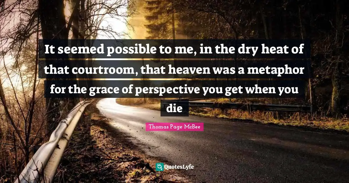 It seemed possible to me, in the dry heat of that courtroom, that heaven was a metaphor for the grace of perspective you get when you die