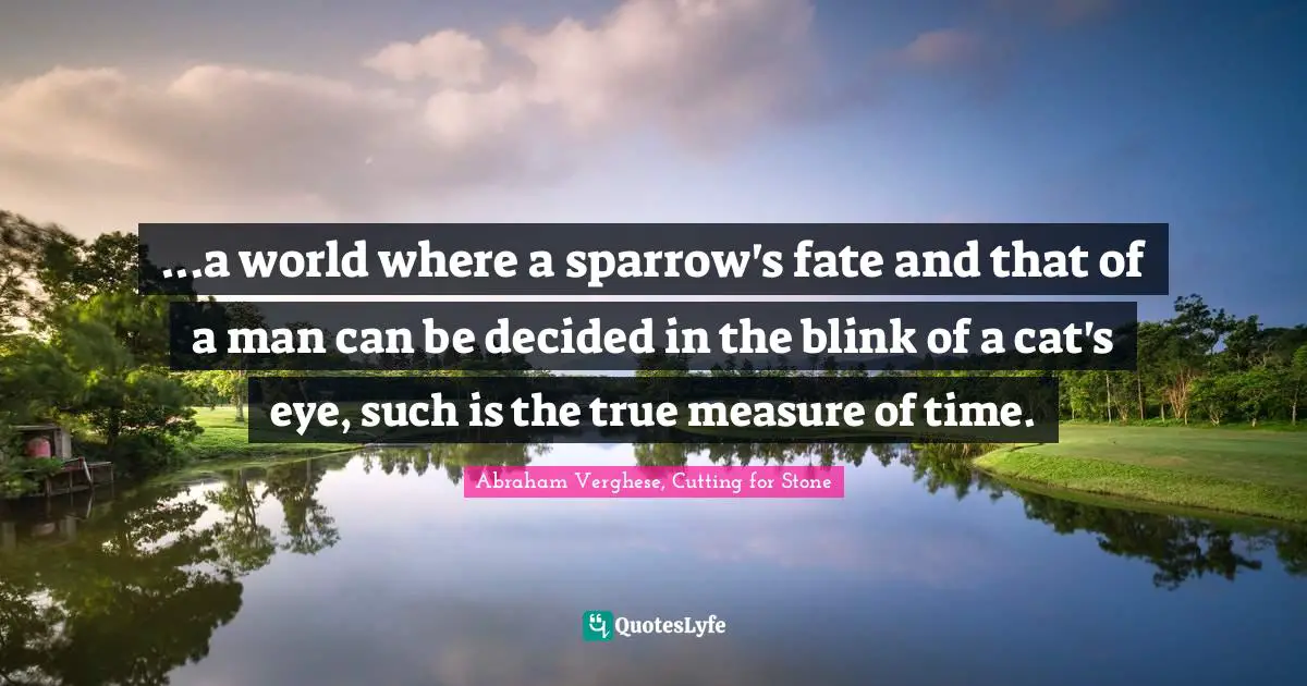 ...a world where a sparrow's fate and that of a man can be decided in the blink of a cat's eye, such is the true measure of time.