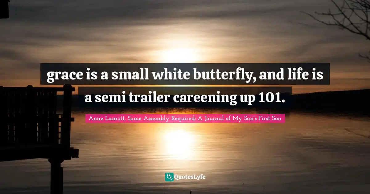 Anne Lamott, Some Assembly Required: A Journal Of My Son's First Son Quotes: "grace is a small white butterfly, and life is a semi trailer careening up 101."