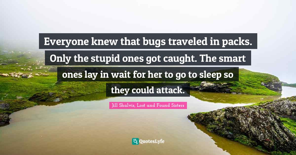 Everyone knew that bugs traveled in packs. Only the stupid ones got caught. The smart ones lay in wait for her to go to sleep so they could attack.