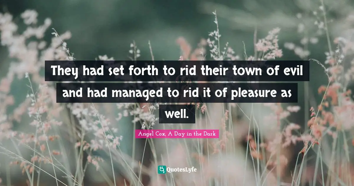 They had set forth to rid their town of evil and had managed to rid it of pleasure as well.