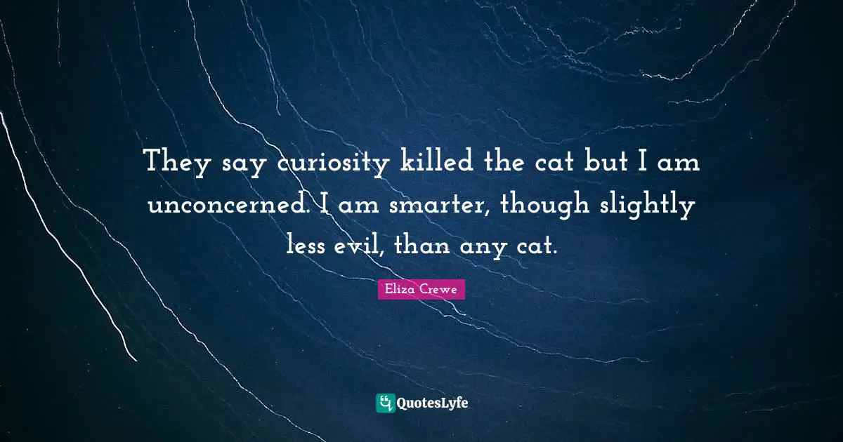They say curiosity killed the cat but I am unconcerned. I am smarter, though slightly less evil, than any cat.