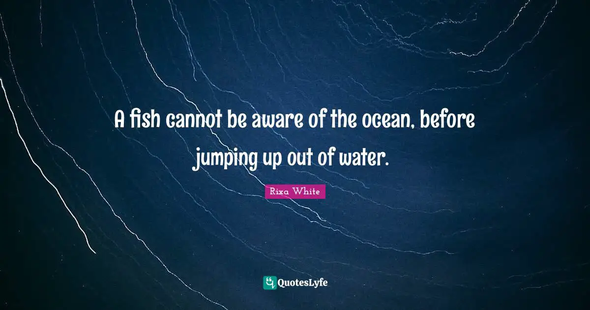 A fish cannot be aware of the ocean, before jumping up out of water.