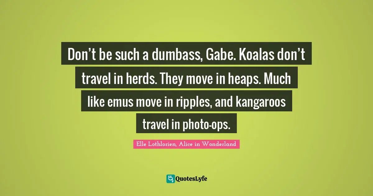 Don’t be such a dumbass, Gabe. Koalas don’t travel in herds. They move in heaps. Much like emus move in ripples, and kangaroos travel in photo-ops.