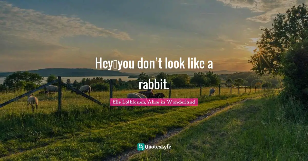 Hey…you don’t look like a rabbit.