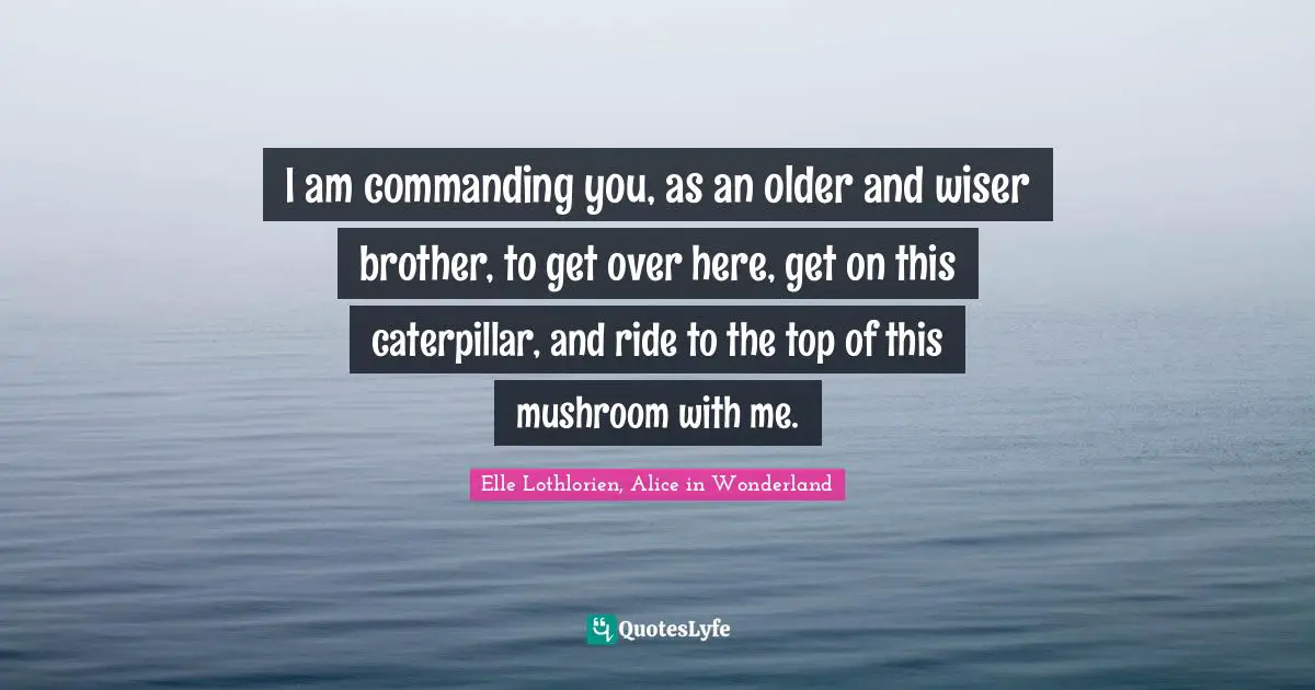 I am commanding you, as an older and wiser brother, to get over here, get on this caterpillar, and ride to the top of this mushroom with me.