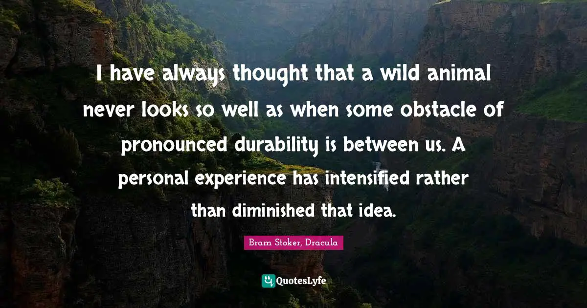 I have always thought that a wild animal never looks so well as when some obstacle of pronounced durability is between us. A personal experience has intensified rather than diminished that idea.