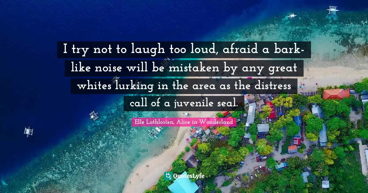 I try not to laugh too loud, afraid a bark-like noise will be mistaken by any great whites lurking in the area as the distress call of a juvenile seal.