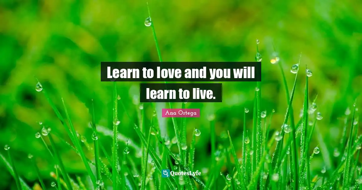 Learn to love and you will learn to live.