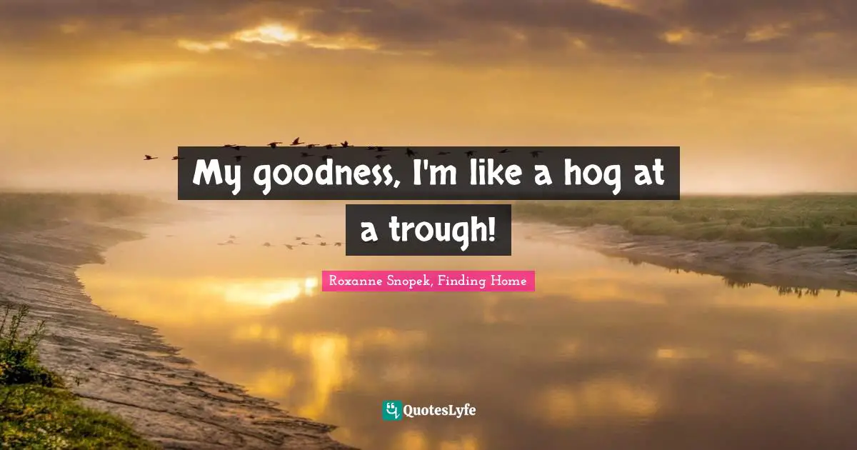 My goodness, I'm like a hog at a trough!