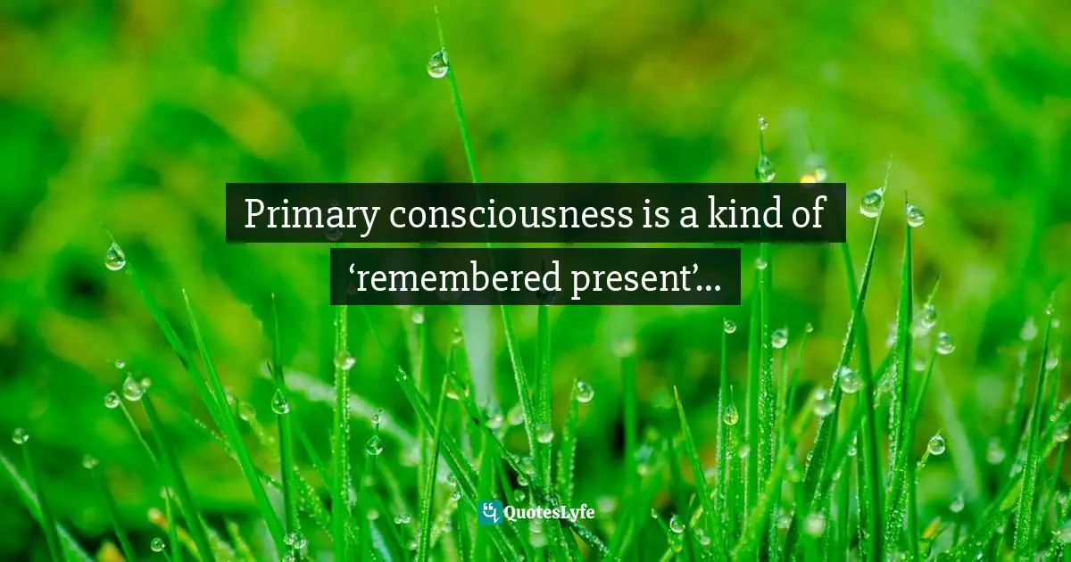 Primary consciousness is a kind of ‘remembered present’…