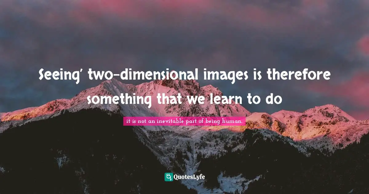 It’s Inevitable”. Quotes: "Seeing’ two-dimensional images is therefore something that we learn to do"