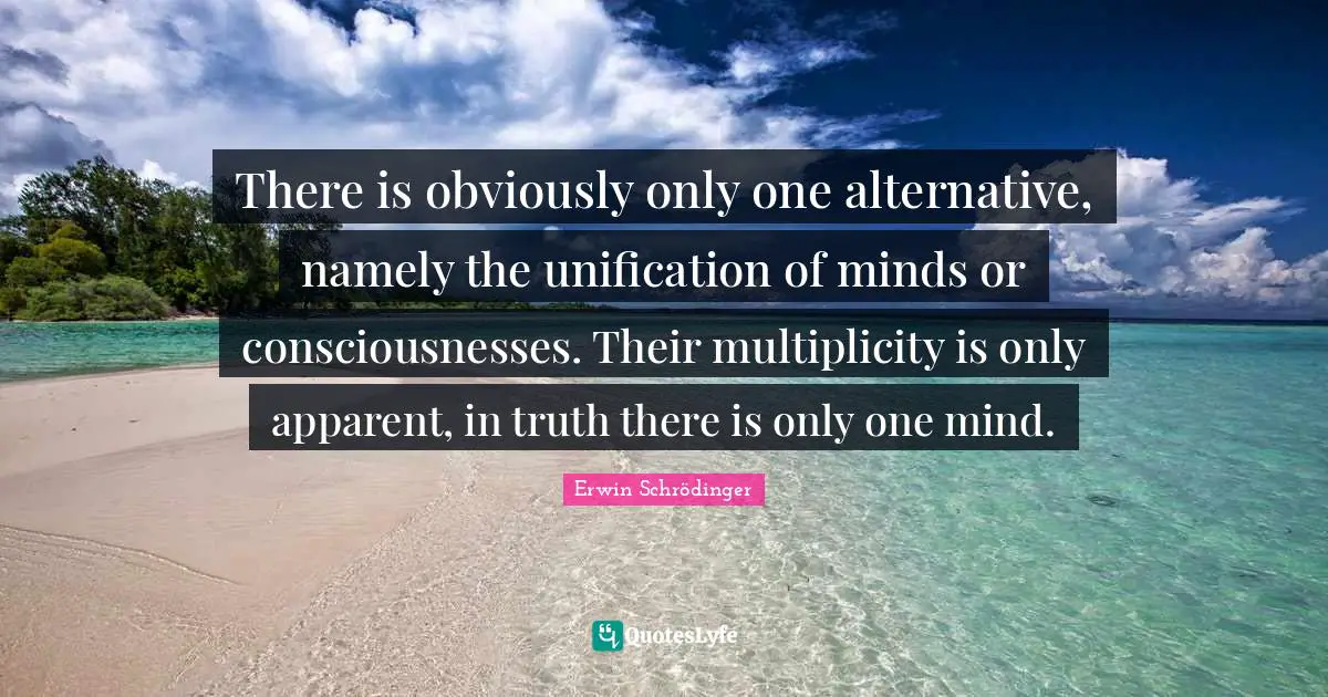 There is obviously only one alternative, namely the unification of minds or consciousnesses. Their multiplicity is only apparent, in truth there is only one mind.
