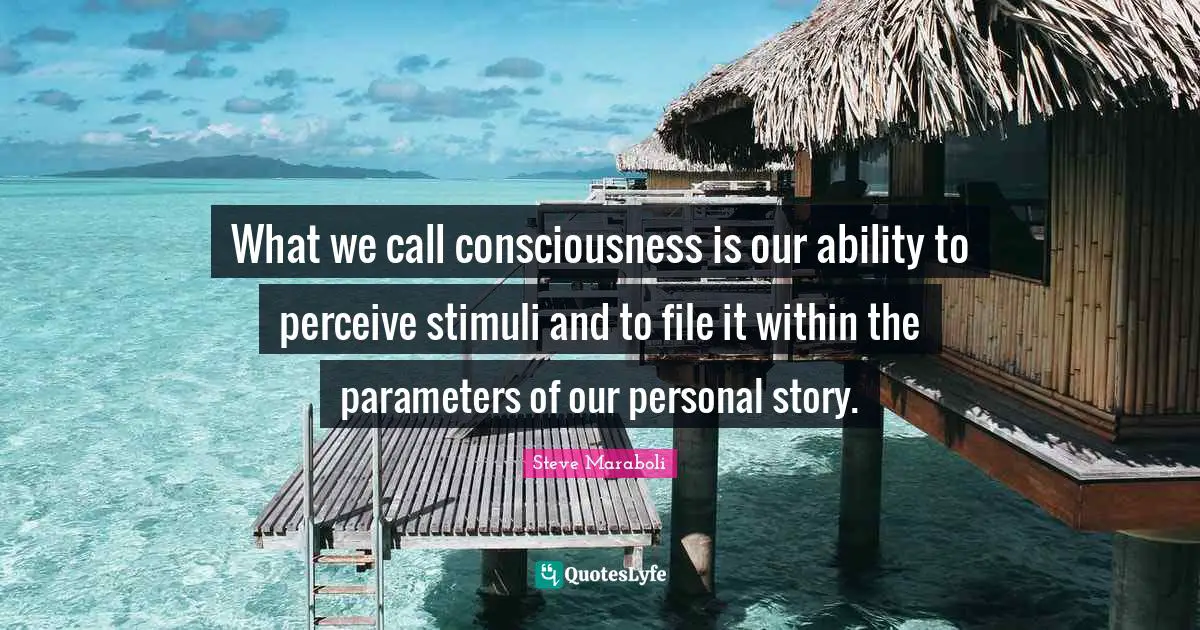 Steve Maraboli Quotes: "What we call consciousness is our ability to perceive stimuli and to file it within the parameters of our personal story."