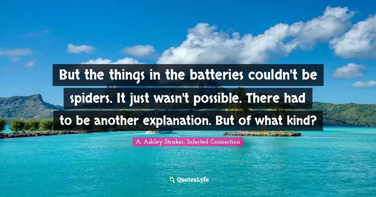 But the things in the batteries couldn't be spiders. It just wasn't possible. There had to be another explanation. But of what kind?