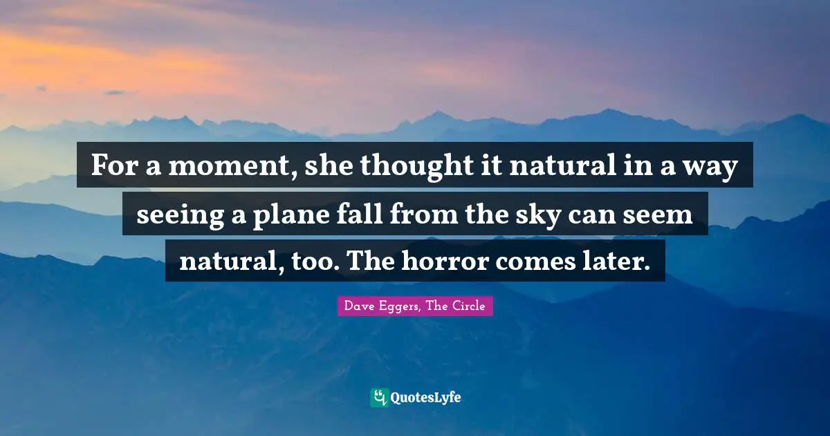 For a moment, she thought it natural in a way seeing a plane fall from the sky can seem natural, too. The horror comes later.