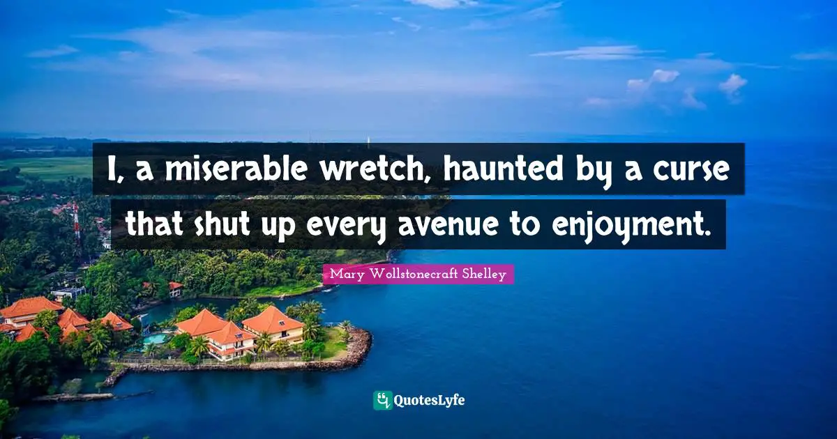 Mary Wollstonecraft Shelley Quotes: "I, a miserable wretch, haunted by a curse that shut up every avenue to enjoyment."