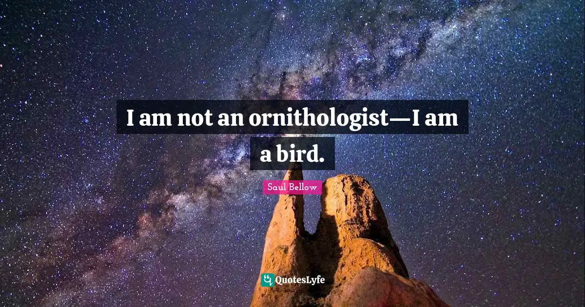 I am not an ornithologist—I am a bird.