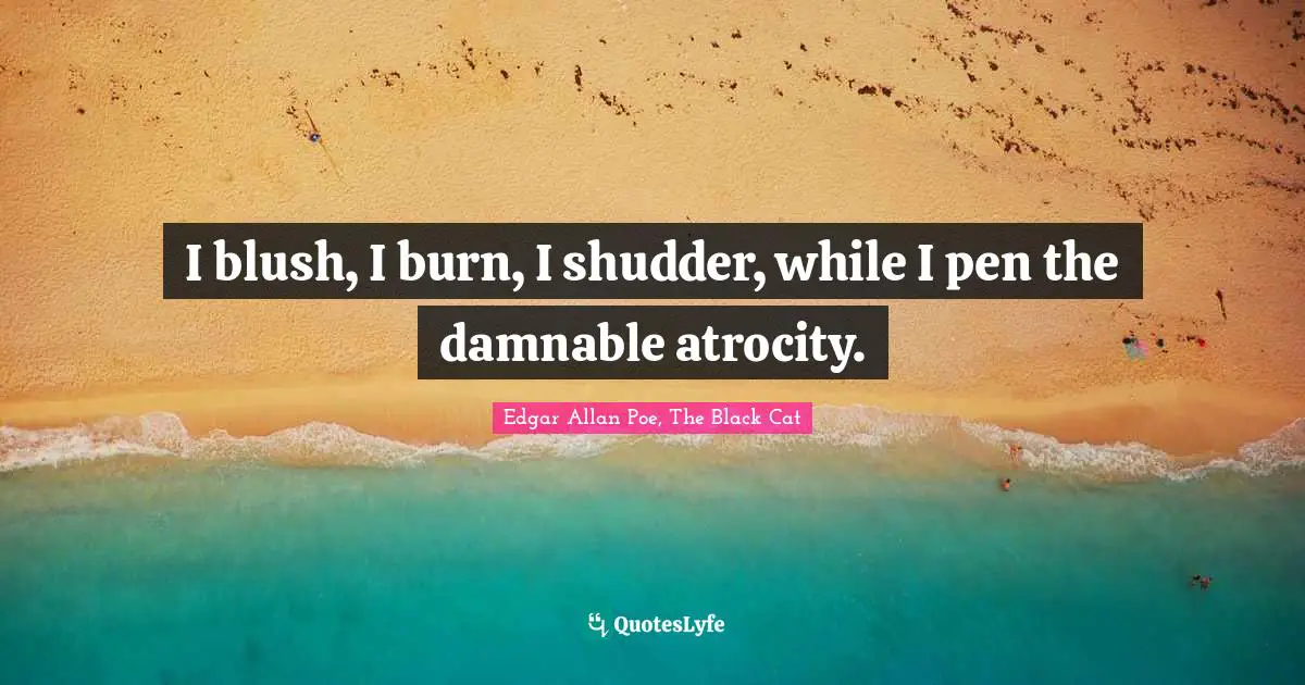 I blush, I burn, I shudder, while I pen the damnable atrocity.