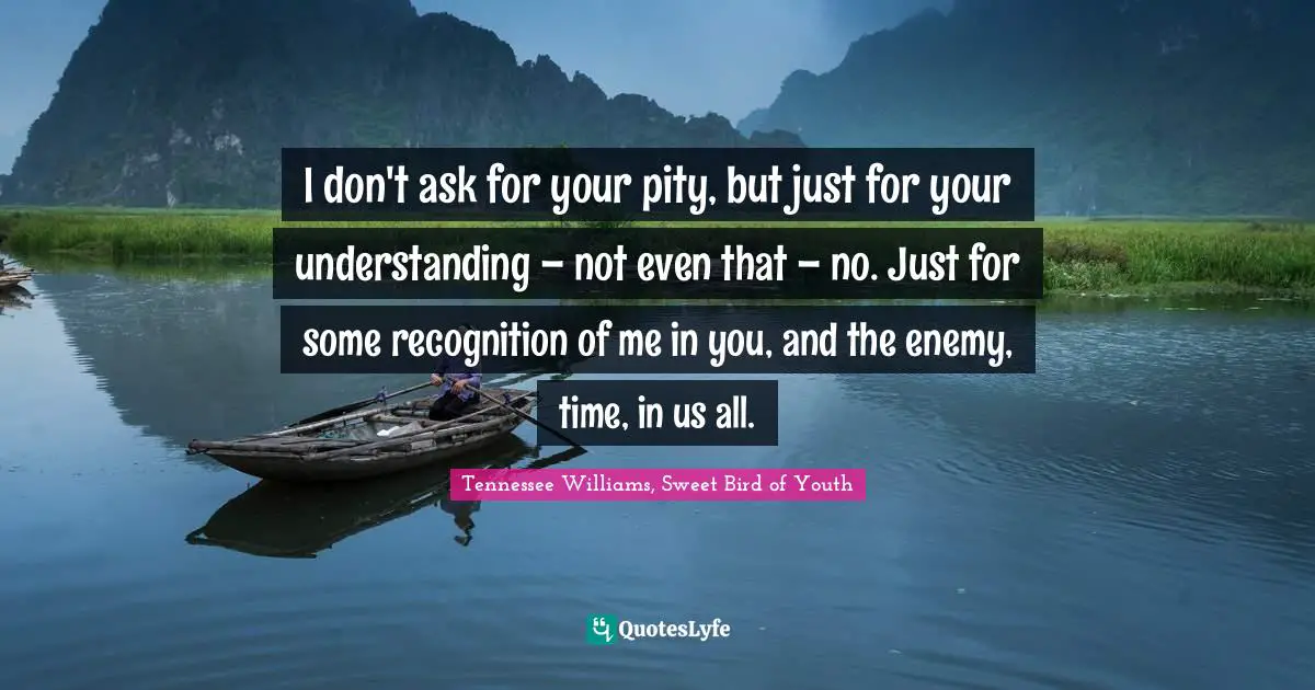 I don't ask for your pity, but just for your understanding – not even that – no. Just for some recognition of me in you, and the enemy, time, in us all.