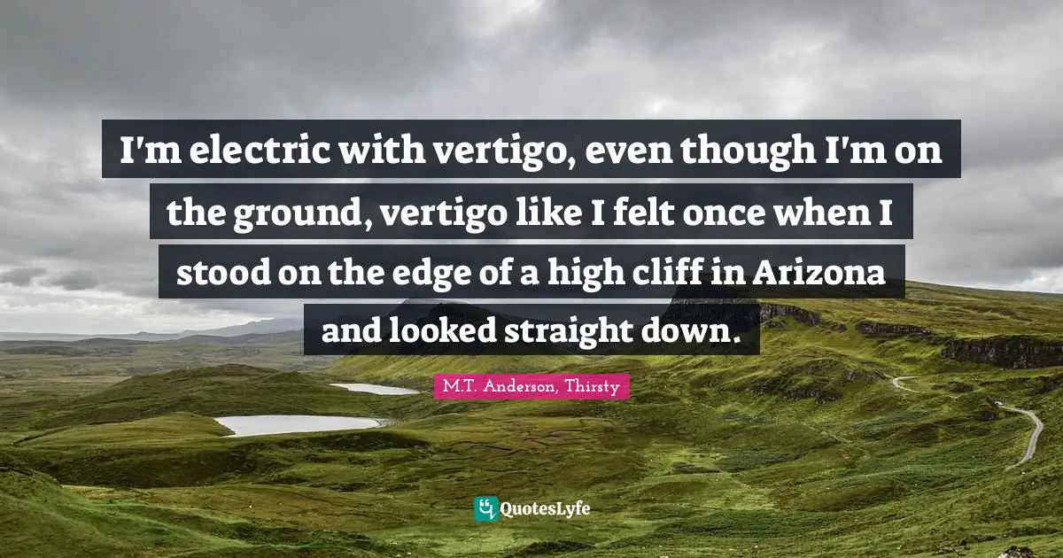 I'm electric with vertigo, even though I'm on the ground, vertigo like I felt once when I stood on the edge of a high cliff in Arizona and looked straight down.