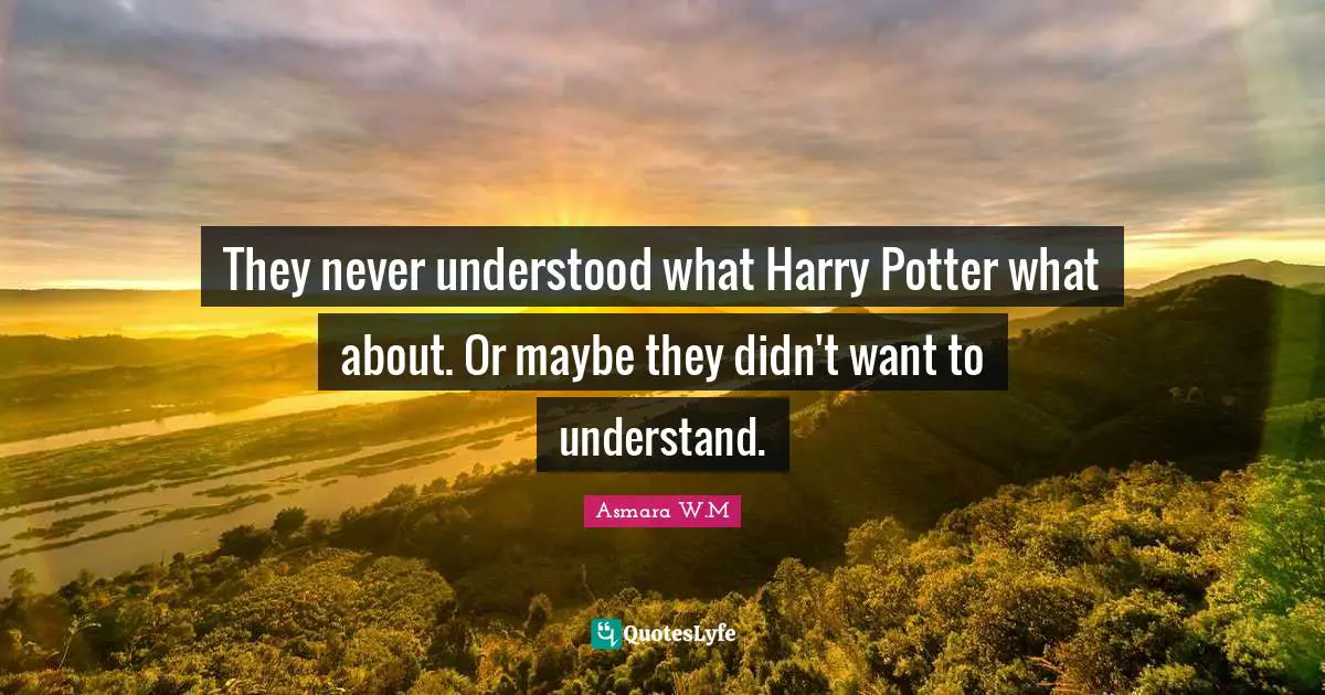 They never understood what Harry Potter what about. Or maybe they didn't want to understand.