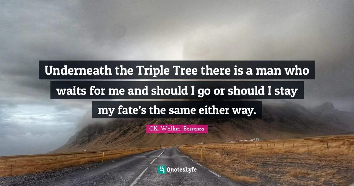 Underneath the Triple Tree there is a man who waits for me and should I go or should I stay my fate’s the same either way.