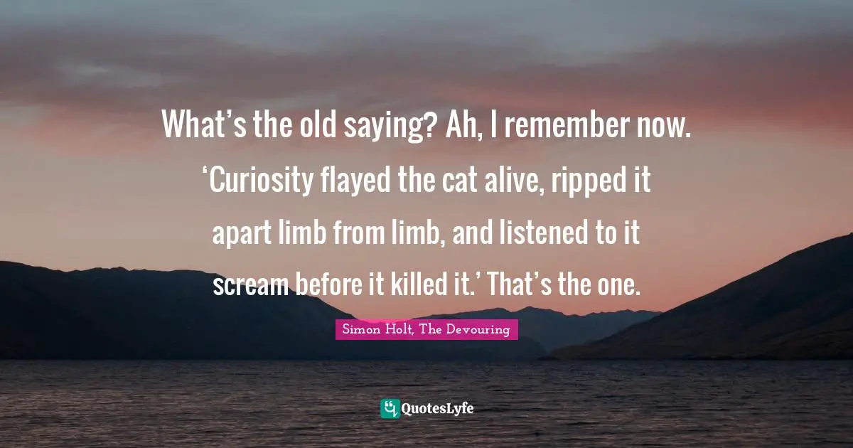 What’s the old saying? Ah, I remember now. ‘Curiosity flayed the cat alive, ripped it apart limb from limb, and listened to it scream before it killed it.’ That’s the one.