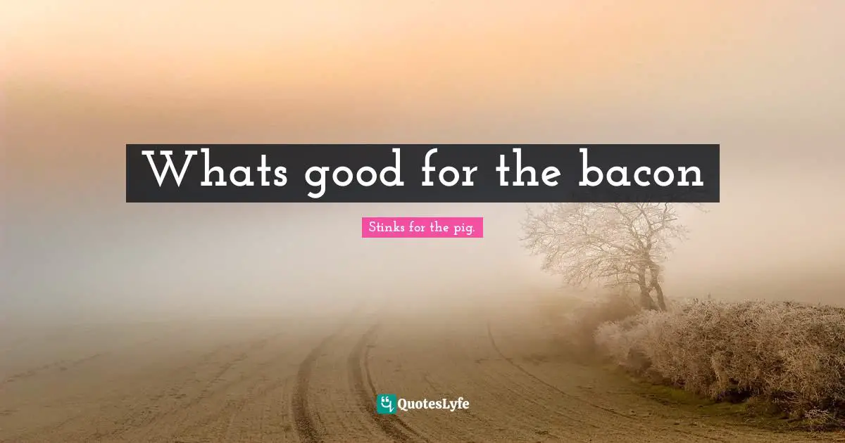 Whats good for the bacon