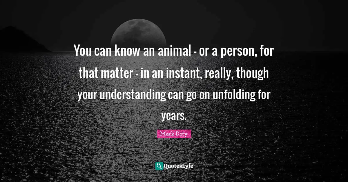 You can know an animal - or a person, for that matter - in an instant, really, though your understanding can go on unfolding for years.