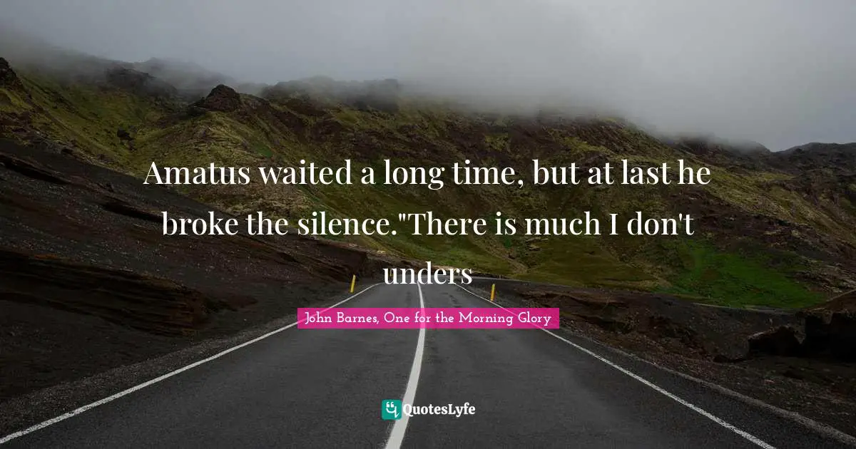 Amatus waited a long time, but at last he broke the silence."There is much I don't unders