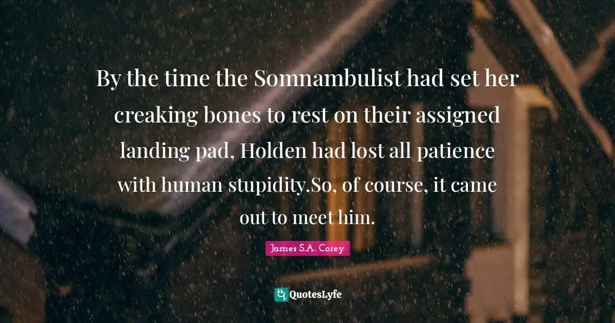 By the time the Somnambulist had set her creaking bones to rest on their assigned landing pad, Holden had lost all patience with human stupidity.So, of course, it came out to meet him.