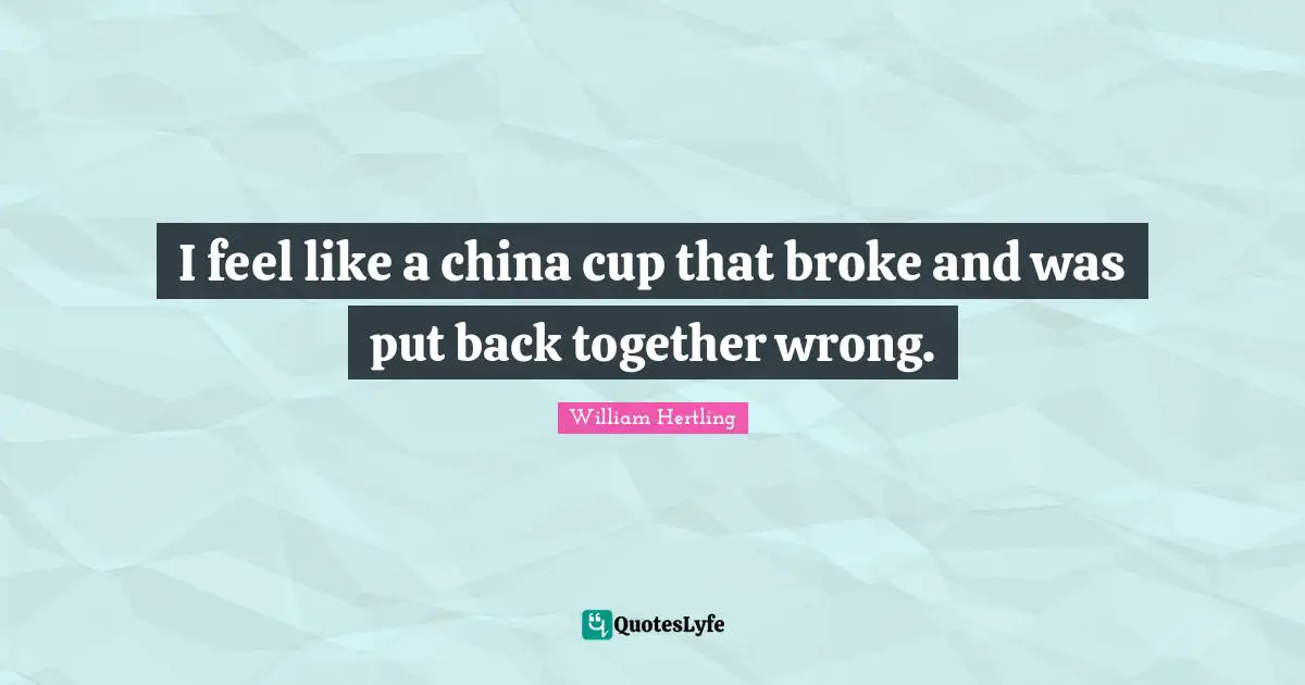 I feel like a china cup that broke and was put back together wrong.