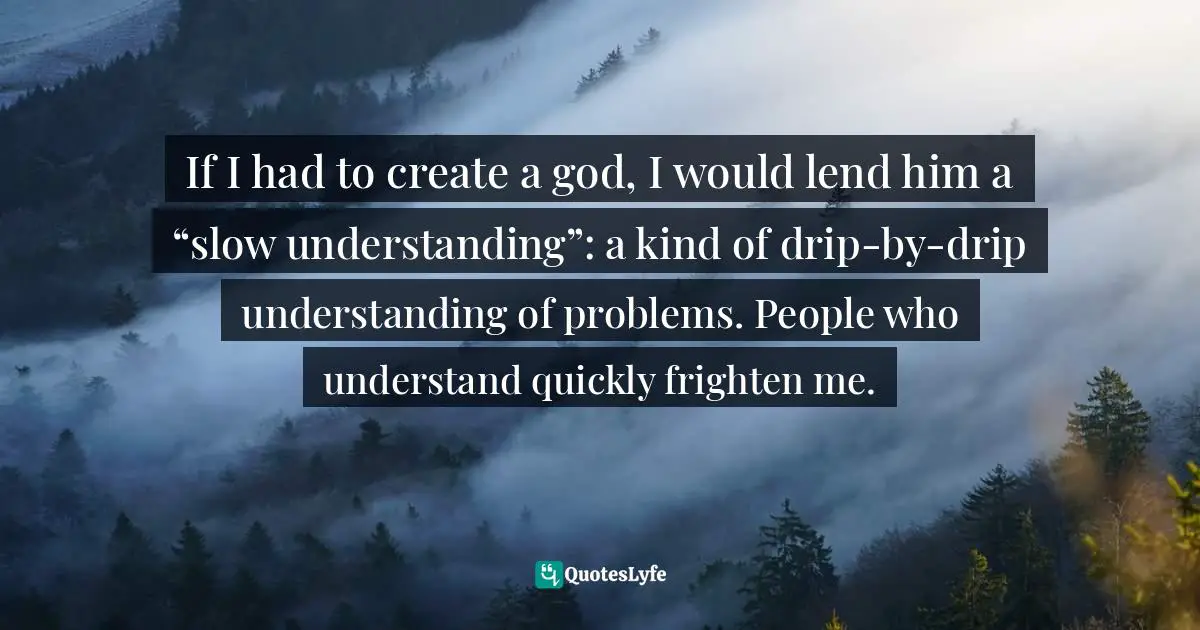 If I had to create a god, I would lend him a “slow understanding”: a kind of drip-by-drip understanding of problems. People who understand quickly frighten me.