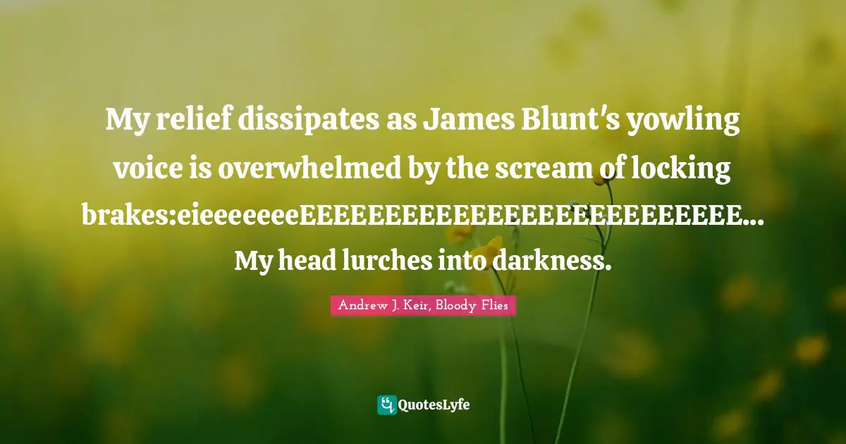 My relief dissipates as James Blunt's yowling voice is overwhelmed by the scream of locking brakes:eieeeeeeeEEEEEEEEEEEEEEEEEEEEEEEEEE... My head lurches into darkness.