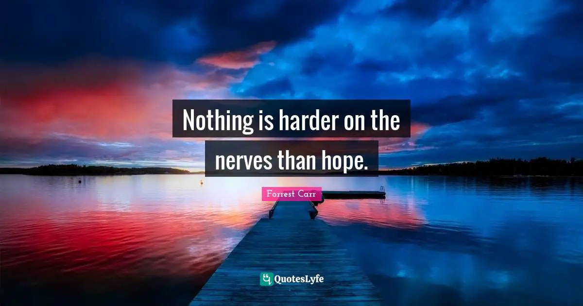 Nothing is harder on the nerves than hope.
