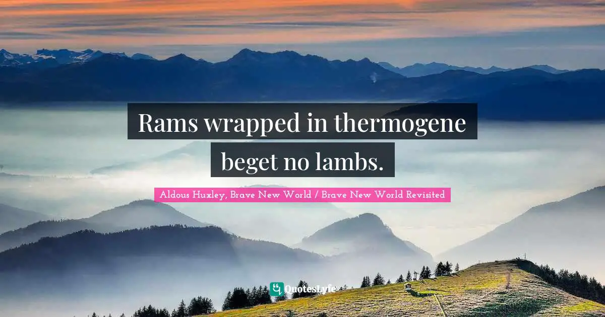 Rams wrapped in thermogene beget no lambs.