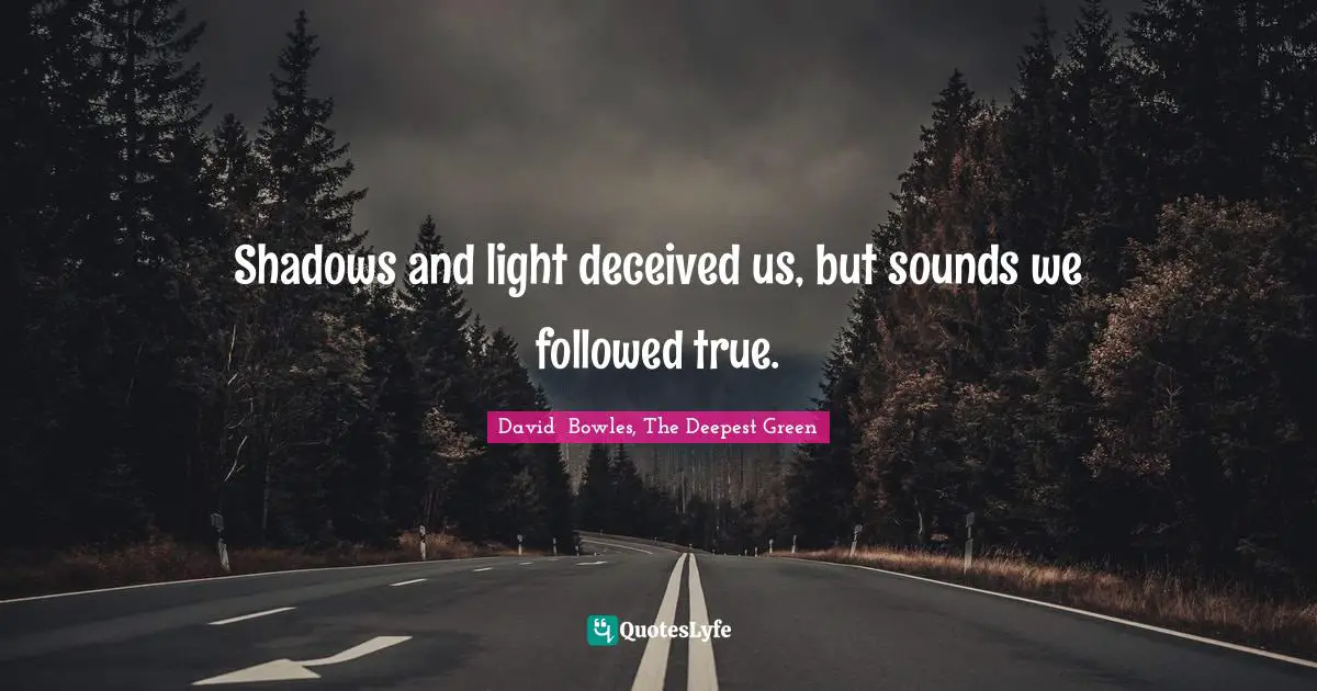 Shadows and light deceived us, but sounds we followed true.