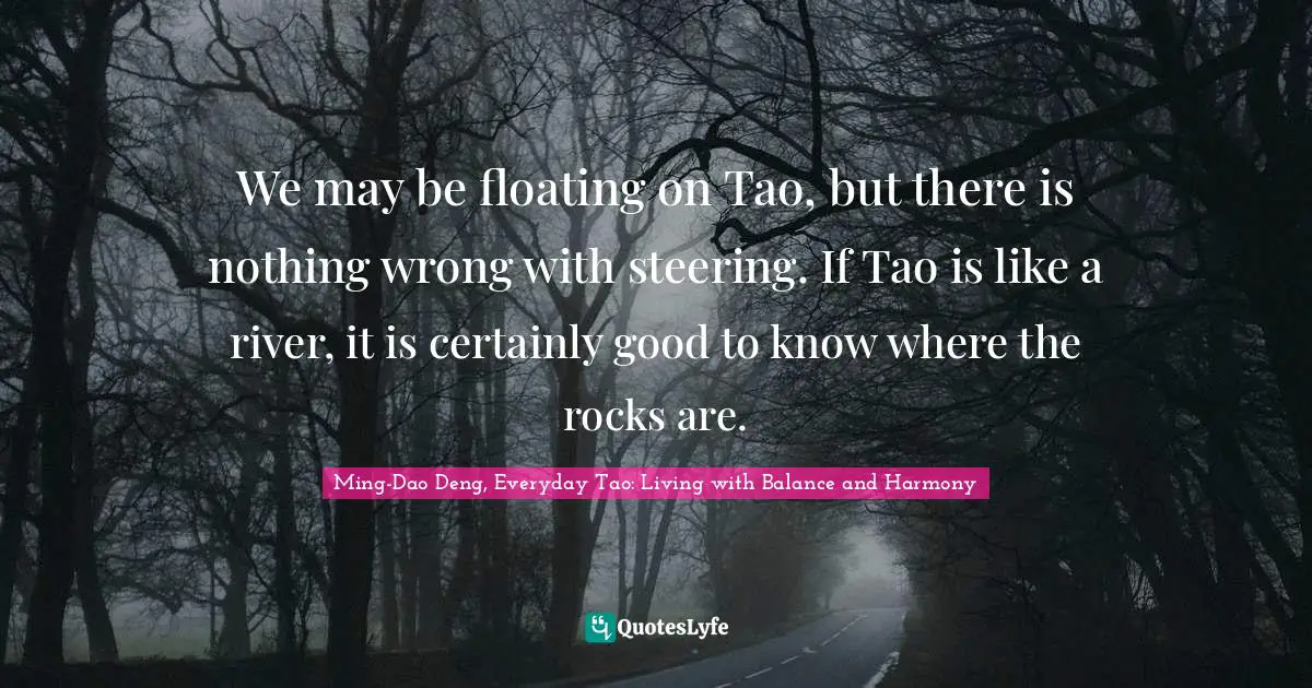 We may be floating on Tao, but there is nothing wrong with steering. If Tao is like a river, it is certainly good to know where the rocks are.