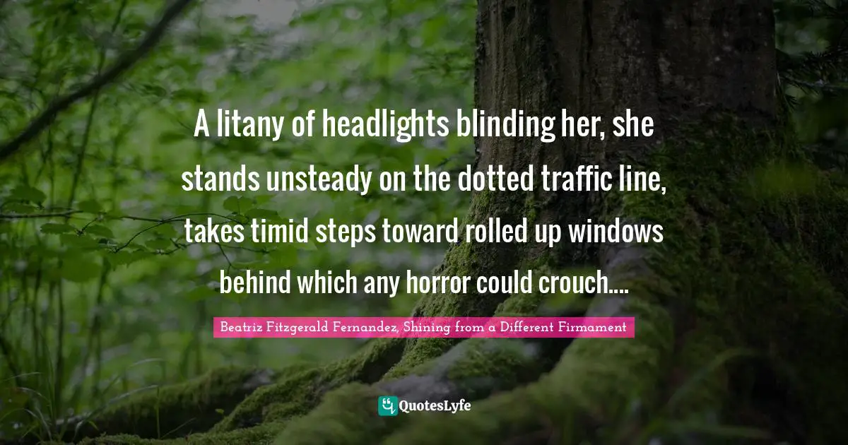 A litany of headlights blinding her, she stands unsteady on the dotted traffic line, takes timid steps toward rolled up windows behind which any horror could crouch....
